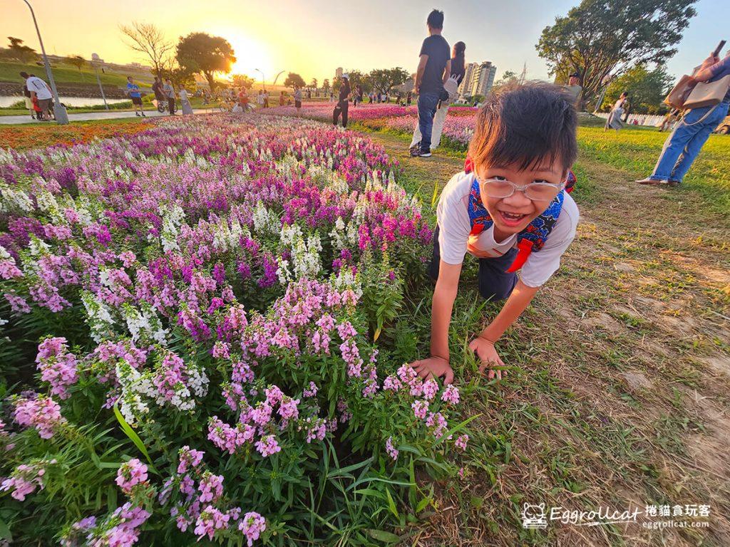 美提河濱公園10月花海