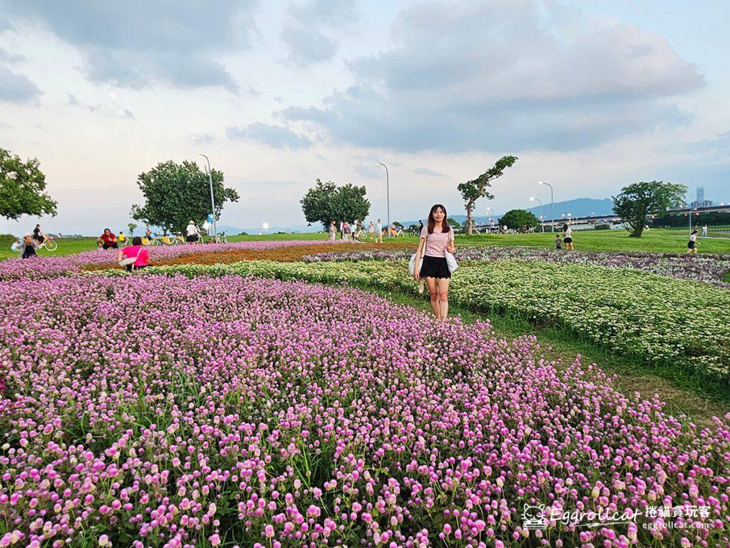 美提河濱公園10月花海