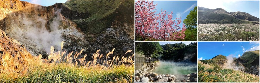 台北|北投&陽明山一日遊