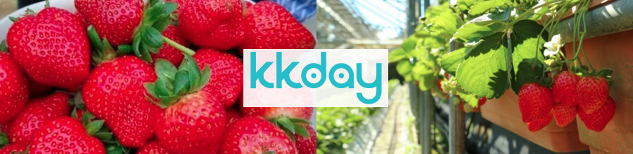 kkdays-內湖採草莓