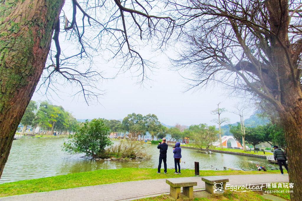 【台北內湖景點】大湖公園親子一日遊|錦帶橋、落羽松秘境、賞鳥生態 - 捲貓貪玩客