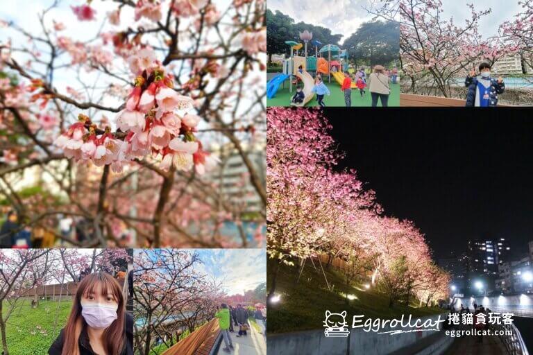 【台北內湖】東湖櫻花林/東湖樂活公園|台北賞櫻景點/夜櫻花季 東湖櫻花林-樂活公園-夜櫻2023