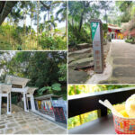 土城朝山步道承天幝寺