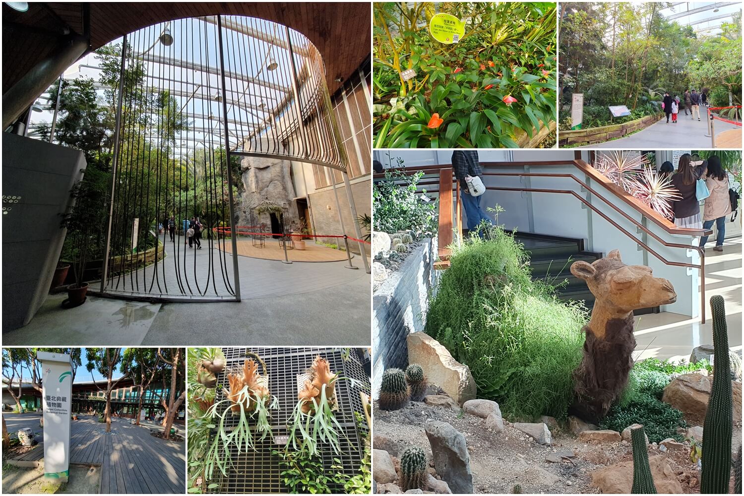 台北典藏植物園