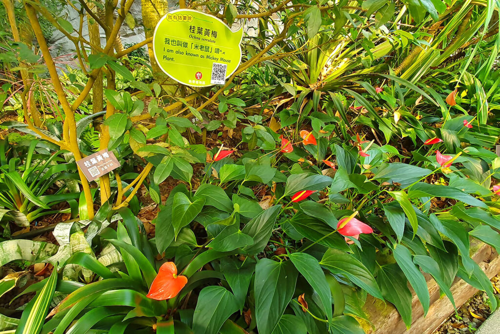 台北典藏植物園