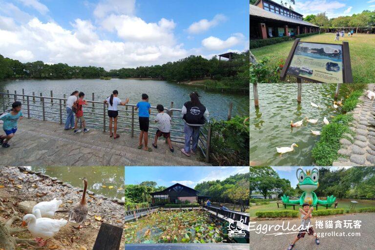 【桃園景點】八德埤塘生態公園/生態埤塘森林步道-餵鴨、餵魚,免費親子好去處 桃園八德埤塘生態公園
