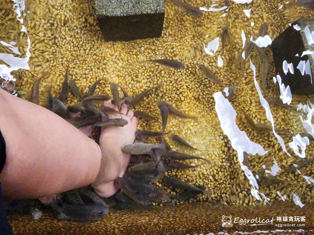 礁溪湯圍溝重口味溫泉魚