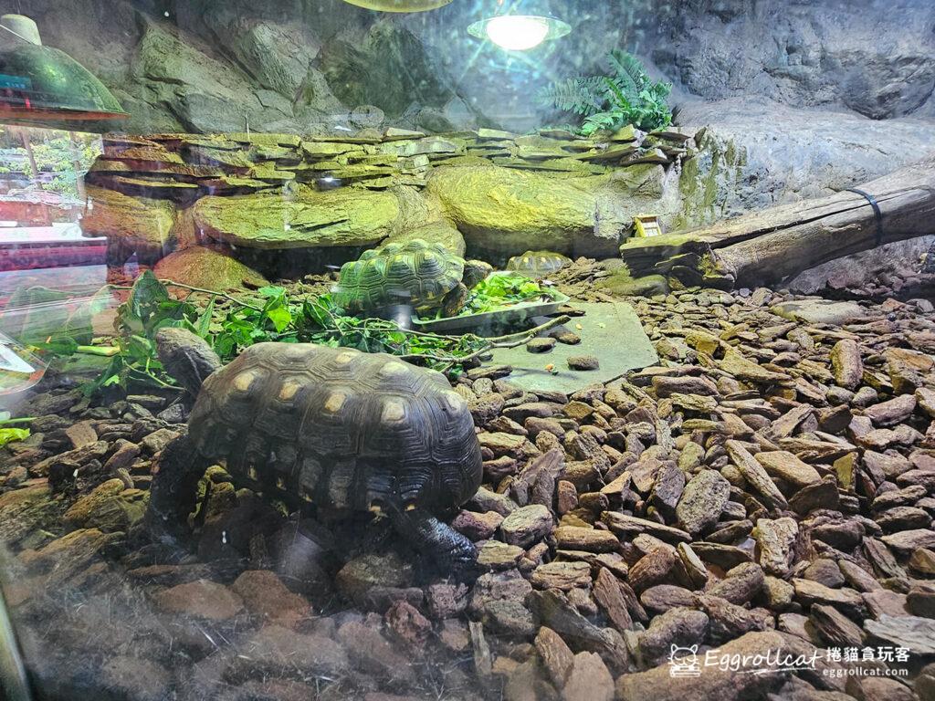 臺北木柵動物園爬蟲動物區