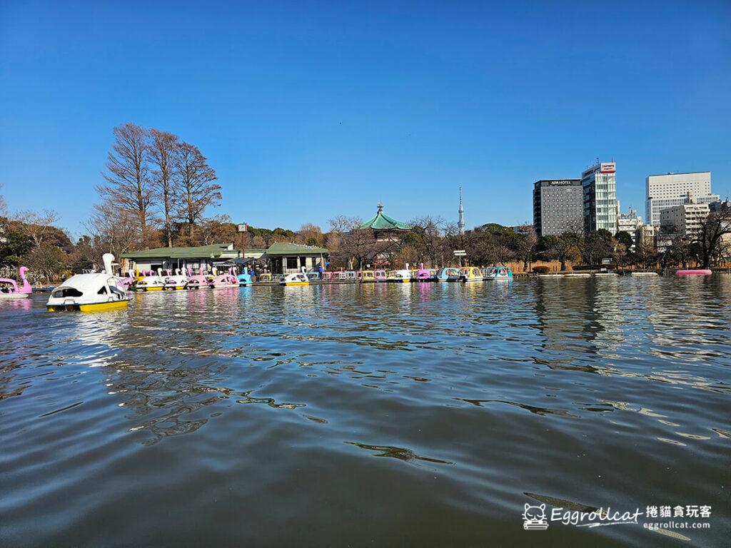 上野公園恩賜公園不忍池天鵝船