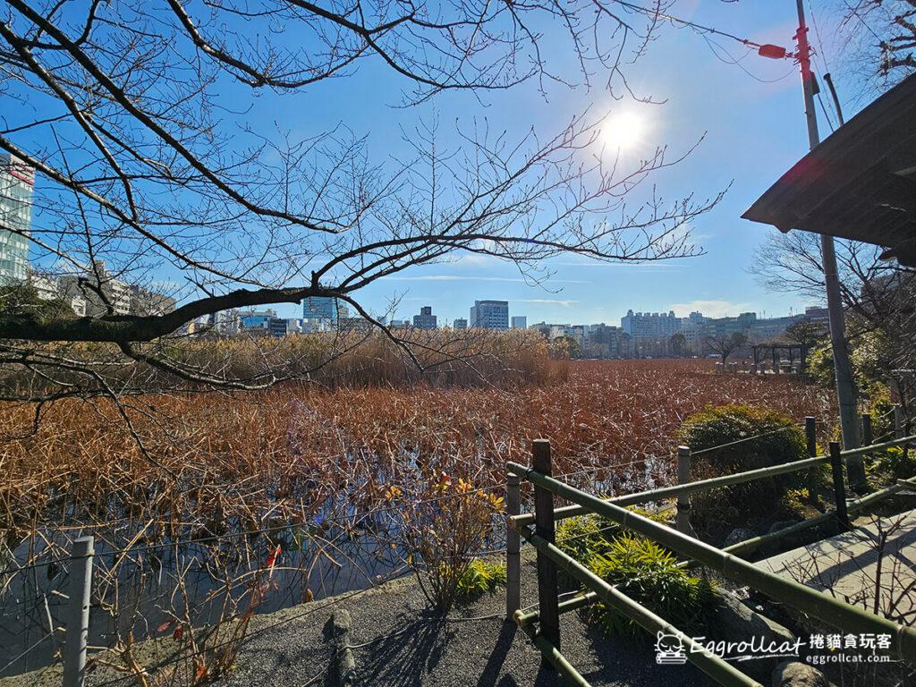 上野公園恩賜公園