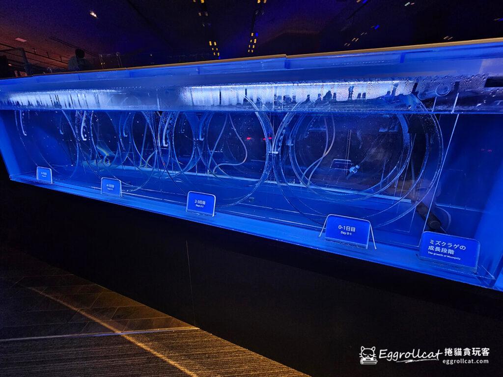 墨田水族館すみだ水族館Sunshine Aquarium