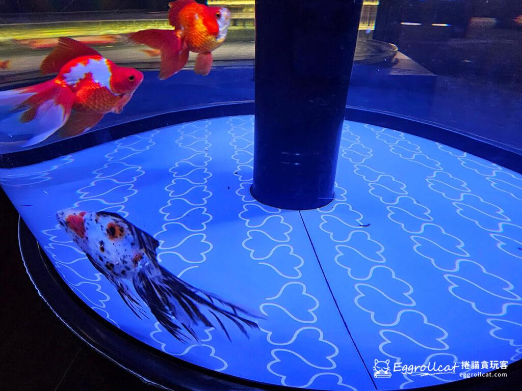 墨田水族館すみだ水族館Sunshine Aquarium-江戶館