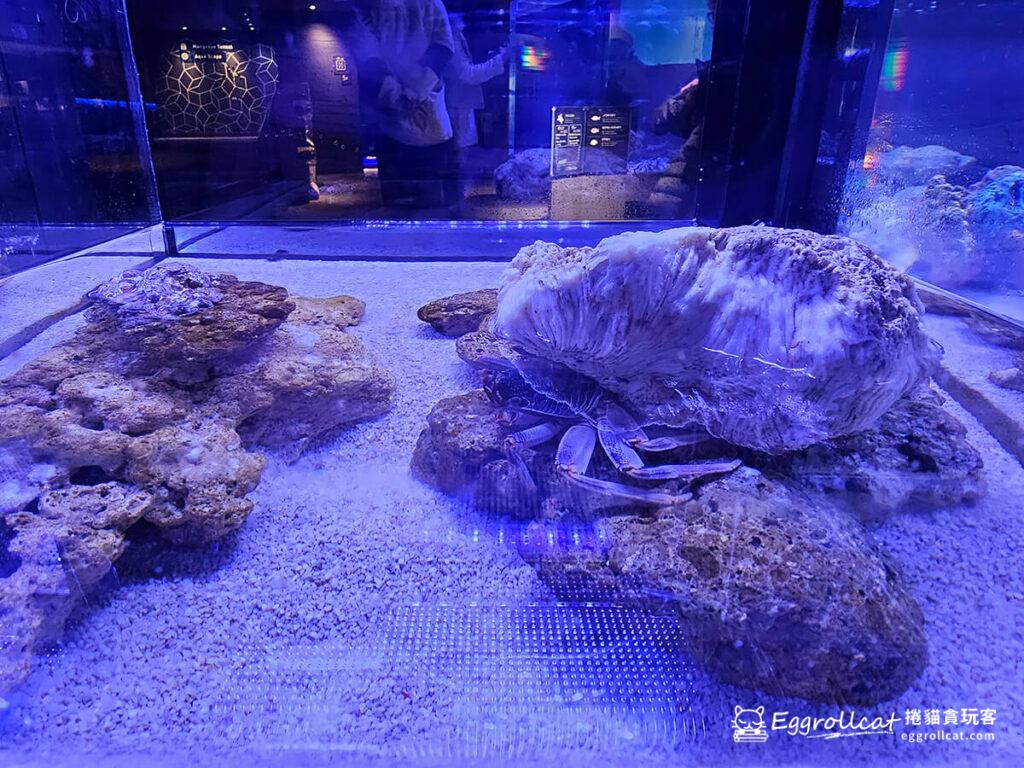 墨田水族館すみだ水族館Sunshine Aquarium