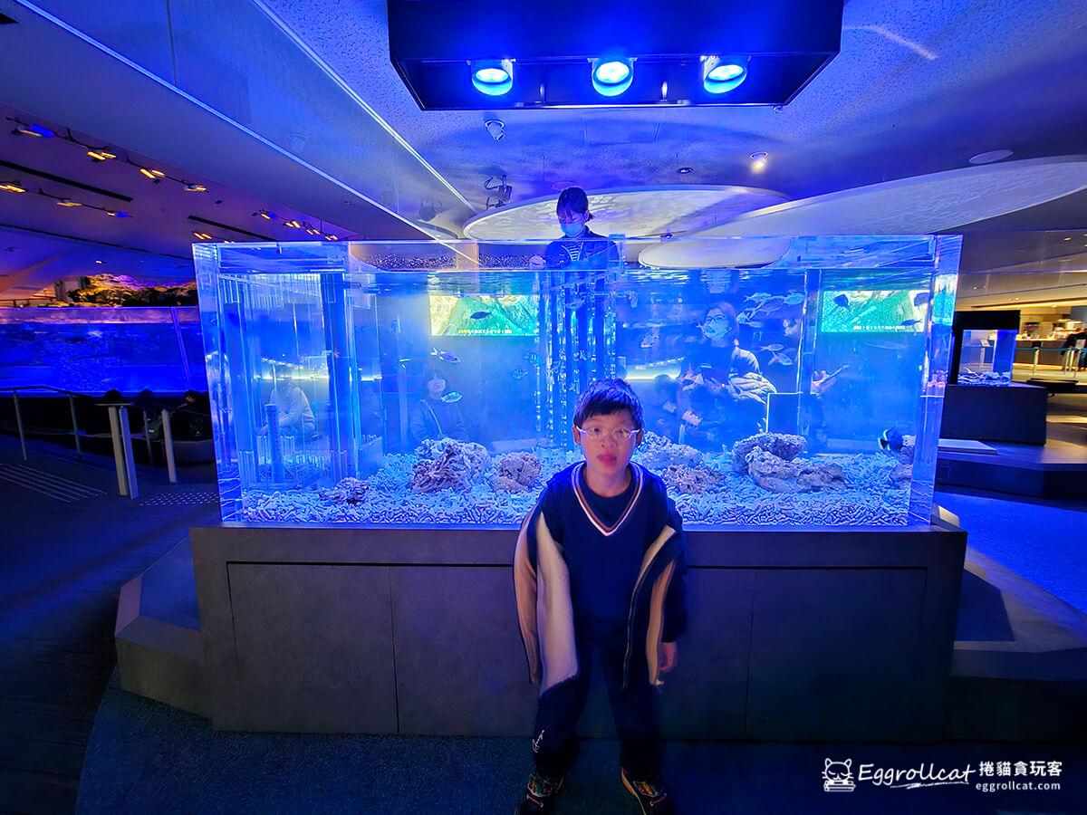 墨田水族館すみだ水族館Sunshine Aquarium