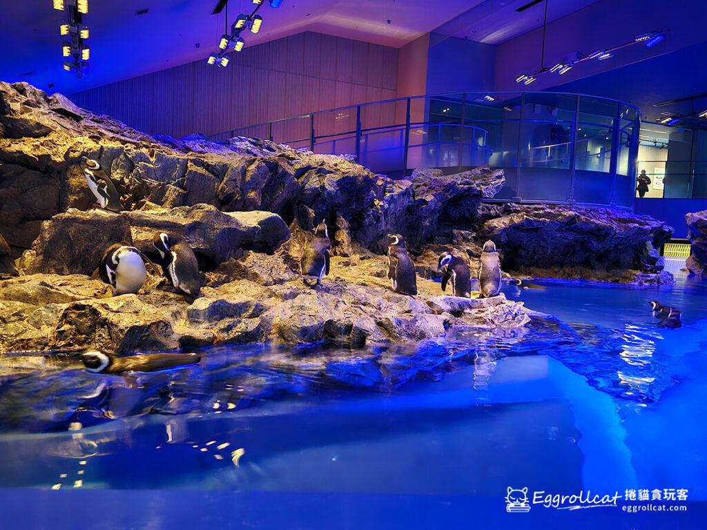 墨田水族館すみだ水族館Sunshine Aquarium-企鵝