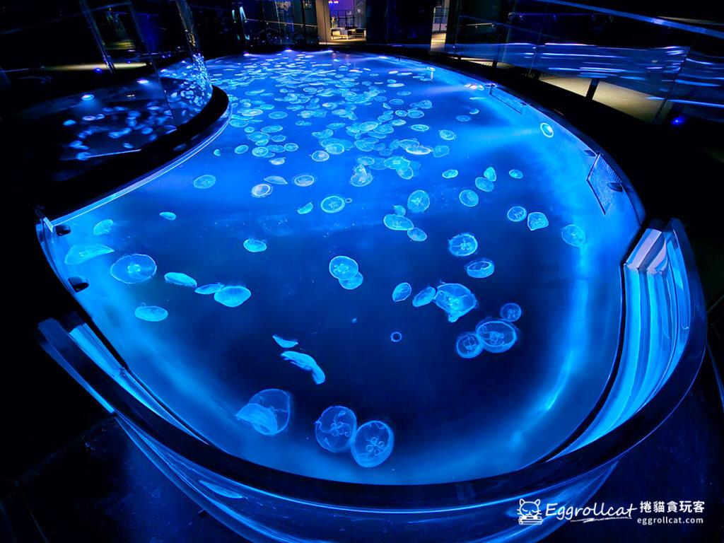 墨田水族館すみだ水族館Sunshine Aquarium-水母