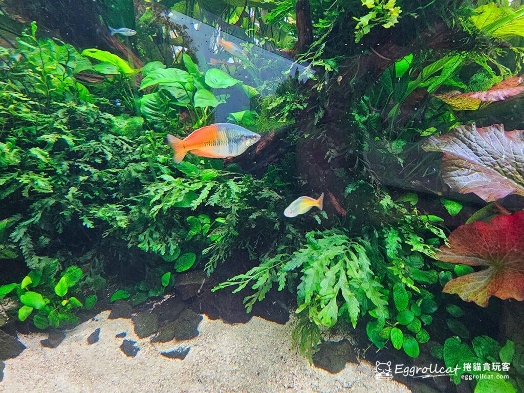 墨田水族館すみだ水族館Sunshine Aquarium