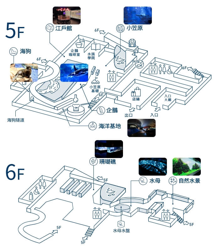 墨田水族館樓層圖すみだ水族館Sunshine Aquarium