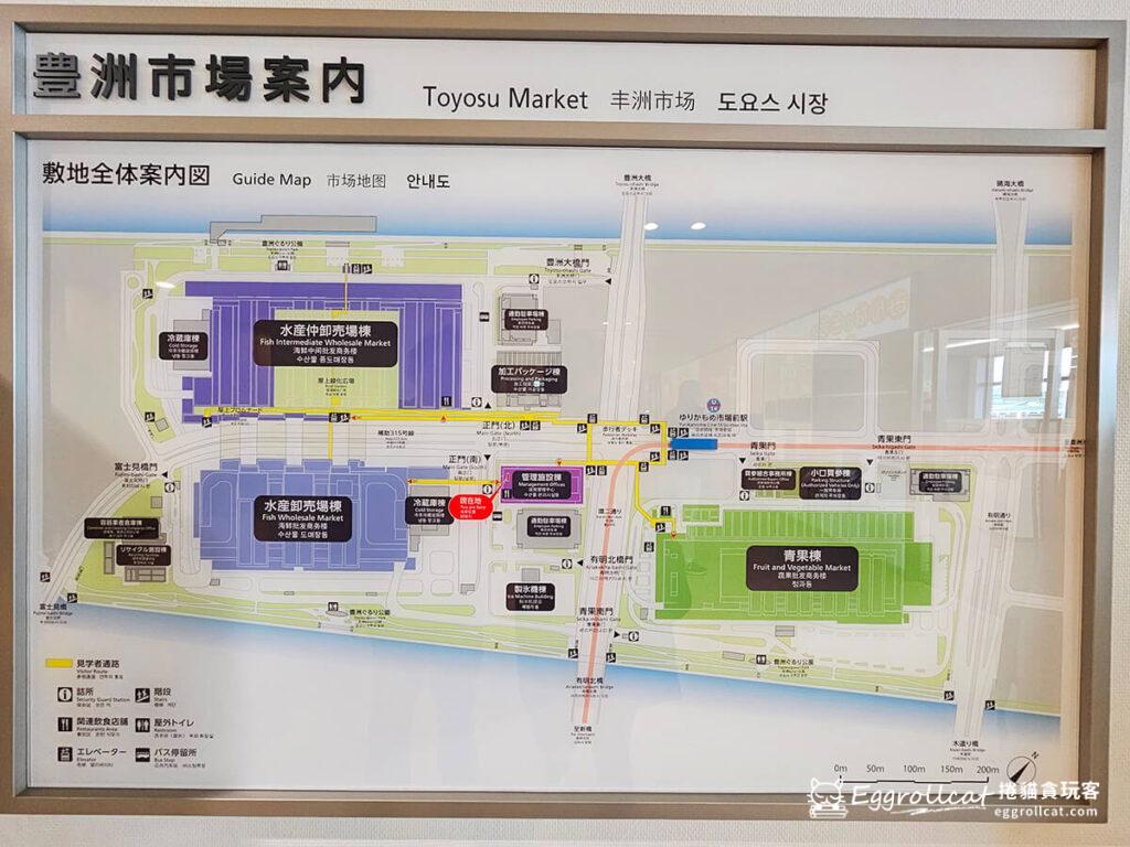 【日本東京自由行】東京豐洲市場全攻略:交通資訊、營業時間、參觀路線與必吃美食總整理 豐洲