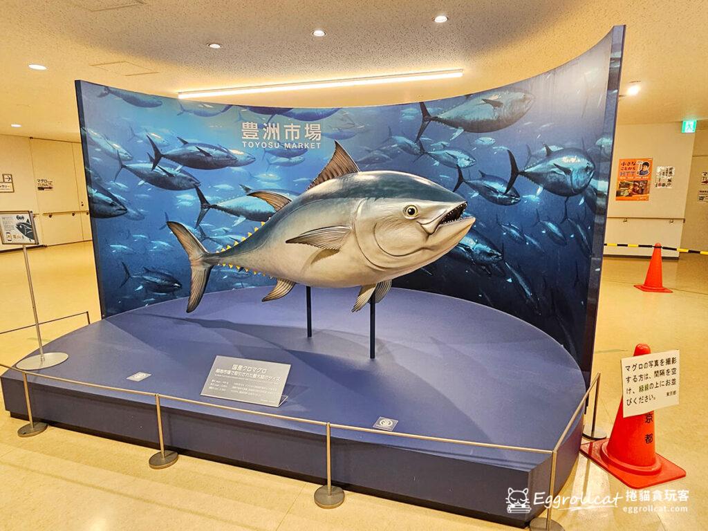 【日本東京自由行】東京豐洲市場全攻略:交通資訊、營業時間、參觀路線與必吃美食總整理 豐洲市場水產仲卸賣場棟