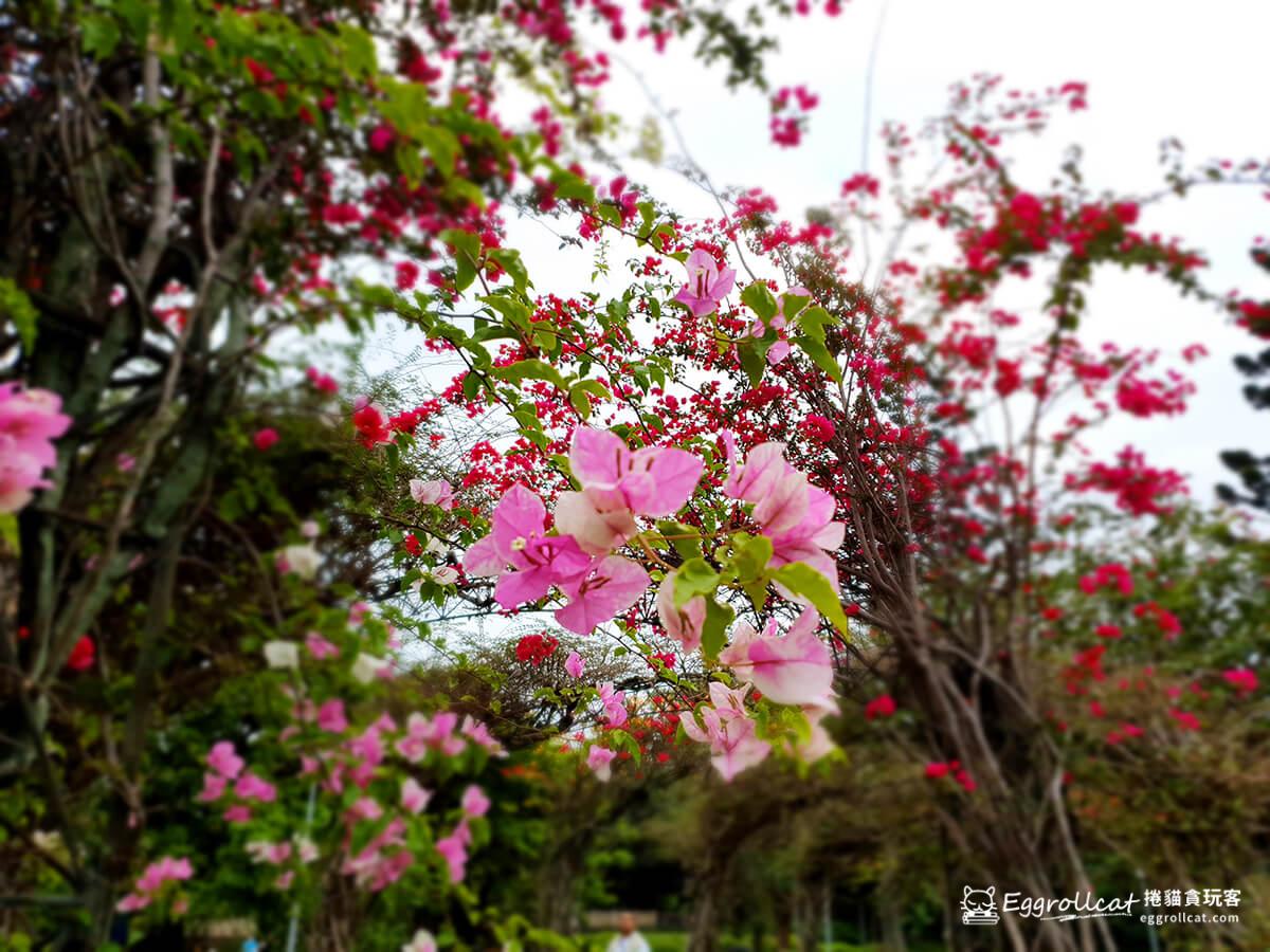 榮星花園