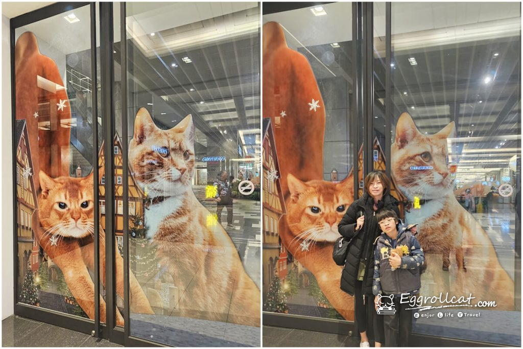 巨貓小鎮南港citylink