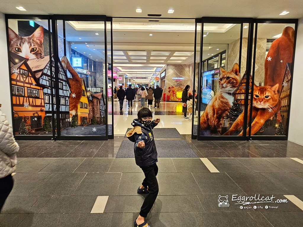 巨貓小鎮南港citylink