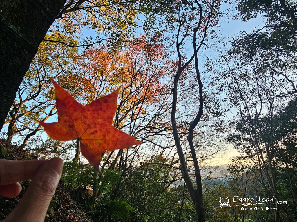【新北汐止景點】拱北殿賞楓秘境|雙拱橋美景+北部人氣半日遊 汐止拱北殿 台北賞楓 賞楓秘境