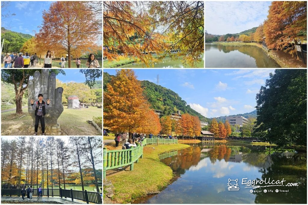 【台北士林景點】原住民文化主題公園｜落羽松鏡面湖秘境，免門票免費入園超好拍