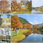 【台北士林景點】原住民文化主題公園｜落羽松鏡面湖秘境，免門票免費入園超好拍