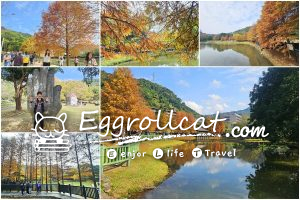 【台北士林景點】原住民文化主題公園｜落羽松鏡面湖秘境，免門票免費入園超好拍