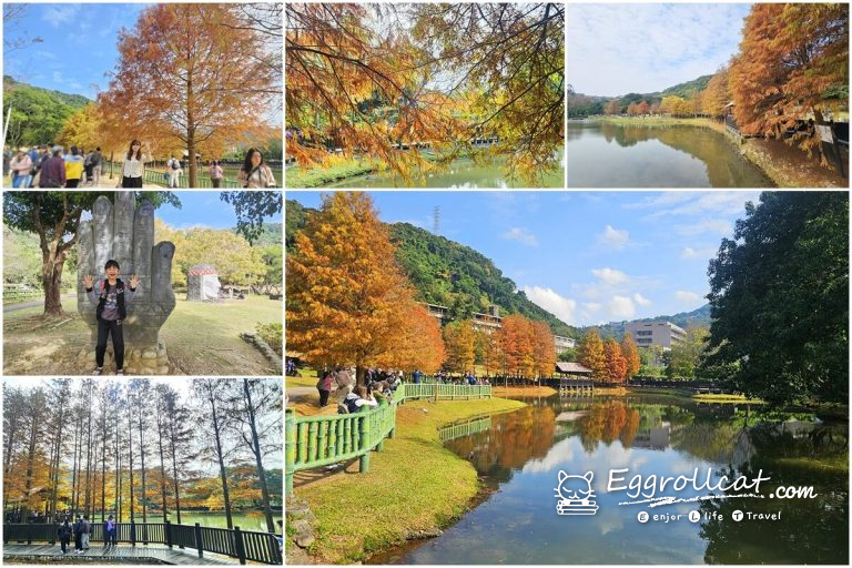 【台北士林景點】原住民文化主題公園|落羽松鏡面湖秘境,免門票免費入園超好拍 【台北士林景點】原住民文化主題公園|落羽松鏡面湖秘境,免門票免費入園超好拍