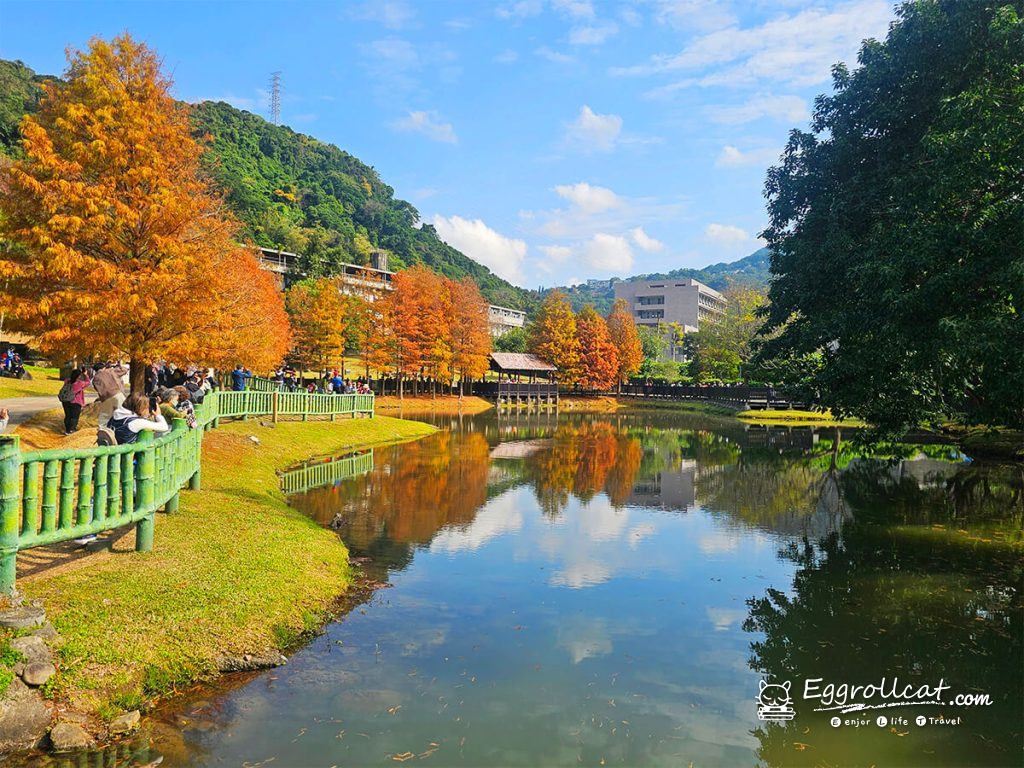 原住民文化主題公園 落羽松秘境