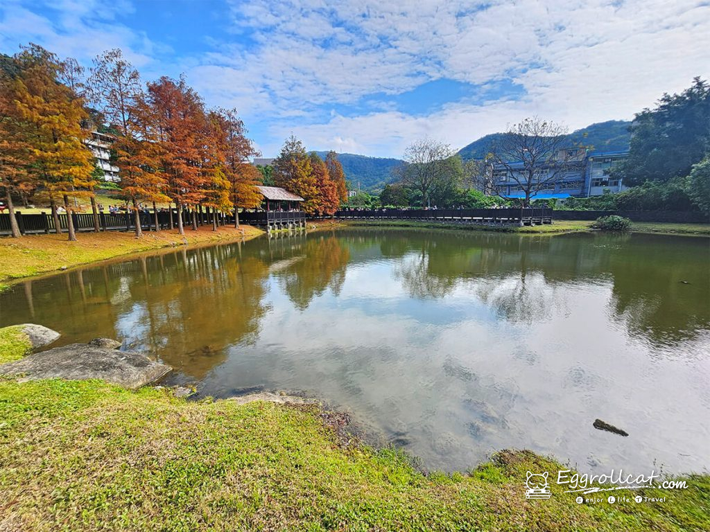 原住民文化主題公園 落羽松秘境