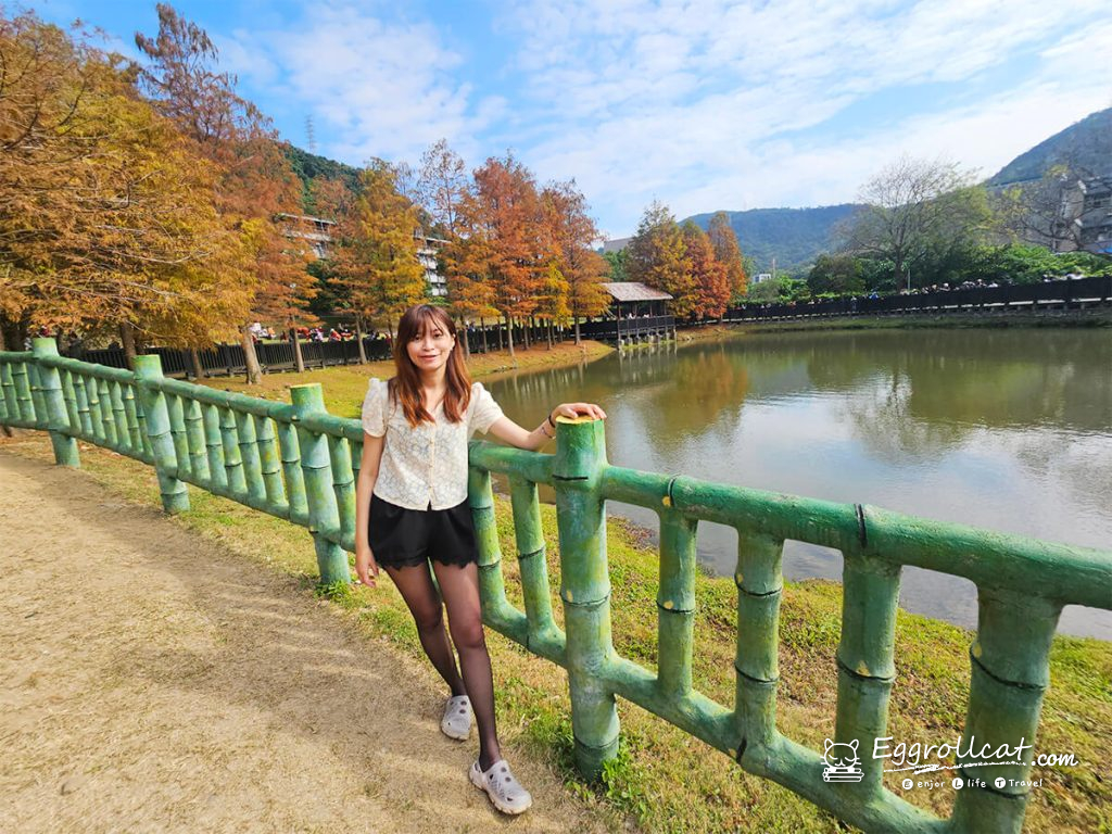 原住民文化主題公園 落羽松秘境