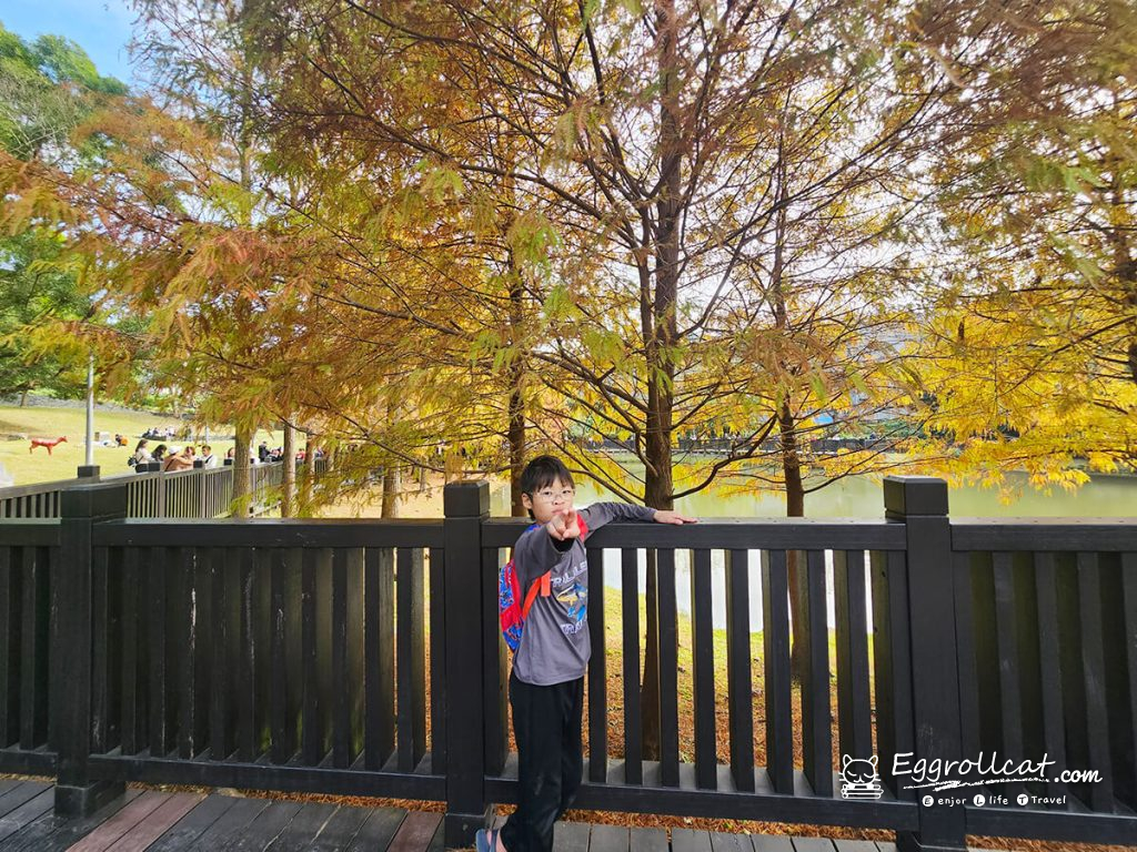 原住民文化主題公園 落羽松秘境