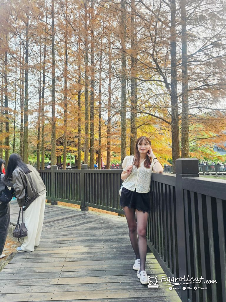 原住民文化主題公園 落羽松秘境