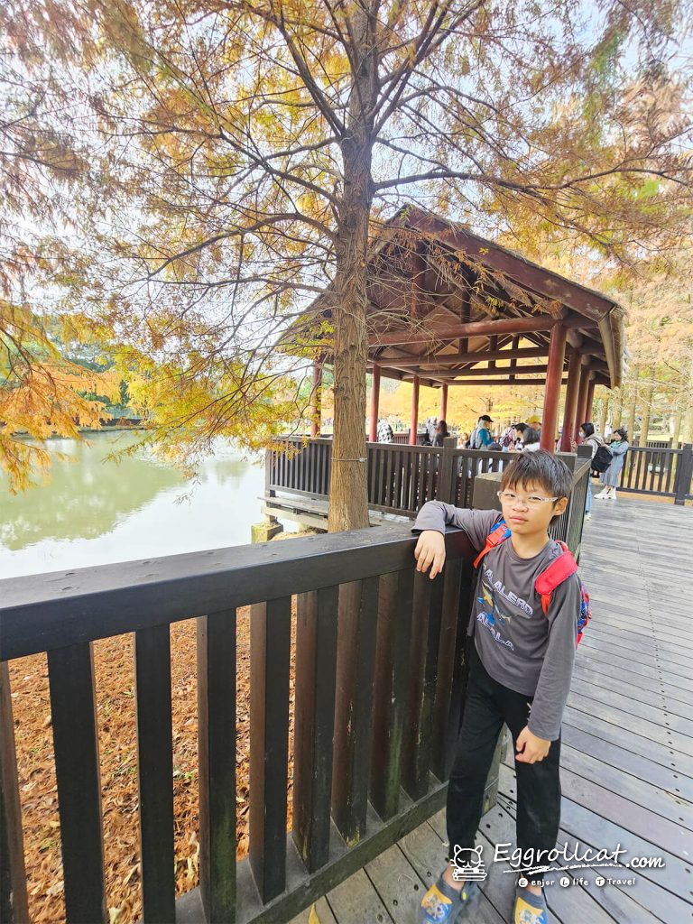 原住民文化主題公園 落羽松秘境