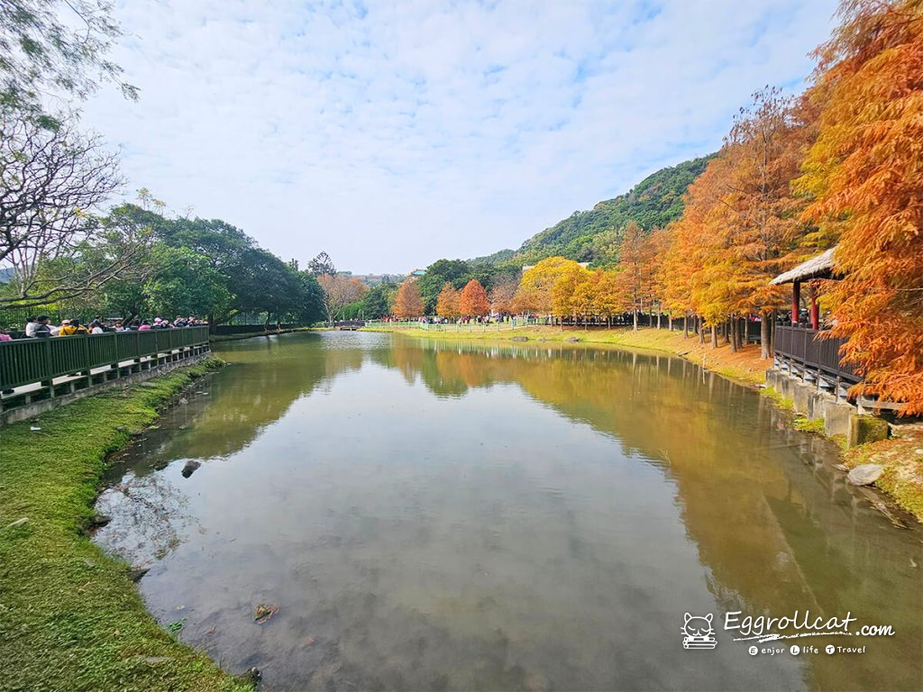 原住民文化主題公園 落羽松秘境