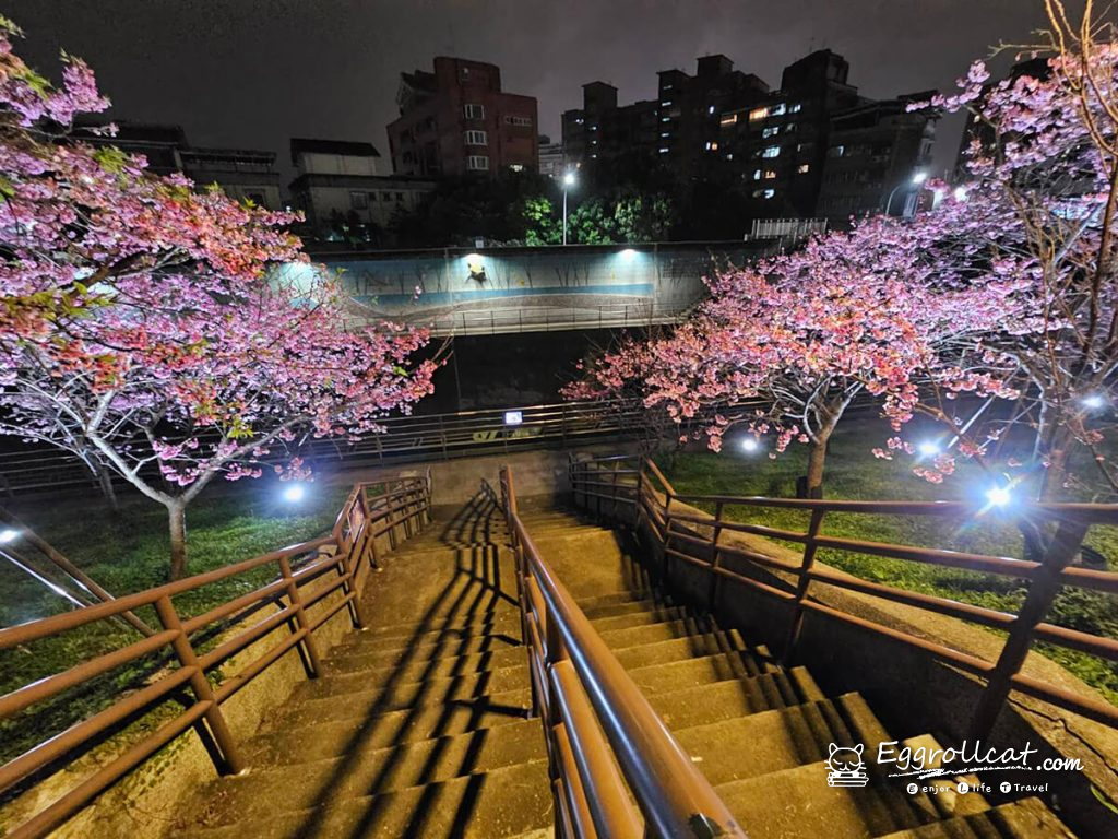 2026東湖樂活公園夜櫻花季 台北賞櫻景點 雙北賞櫻景點