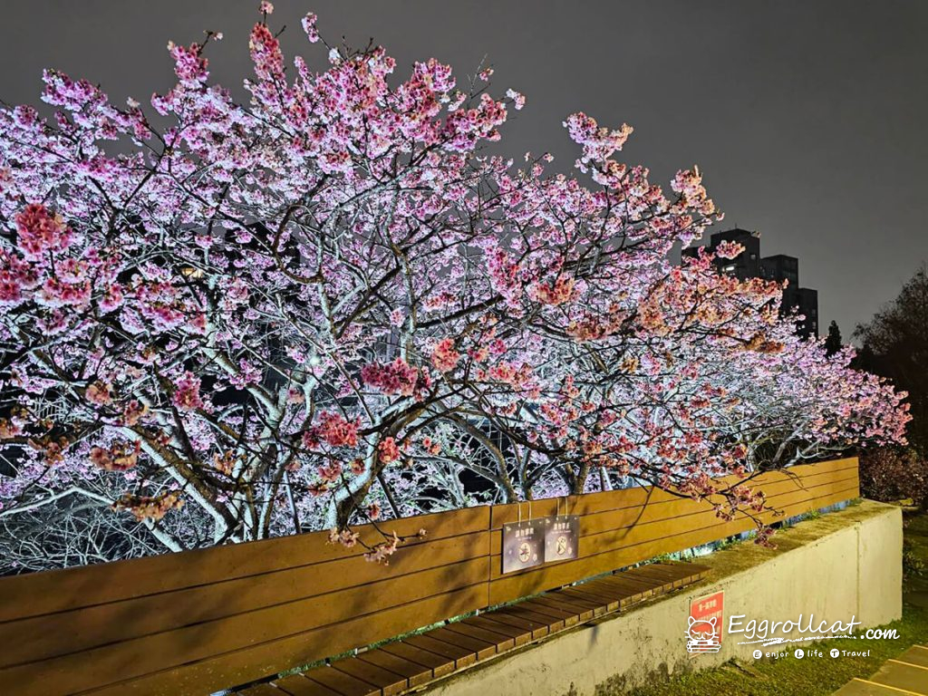 2026東湖樂活公園夜櫻花季 台北賞櫻景點 雙北賞櫻景點