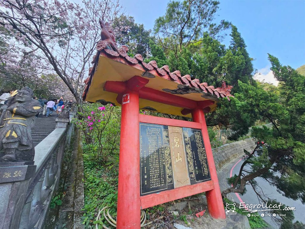 內湖碧山巖櫻花台北賞櫻