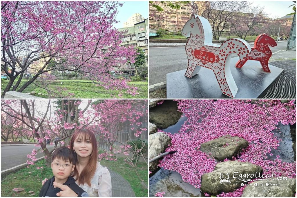 康誥坑溪櫻花大道 新北櫻花 汐止景點