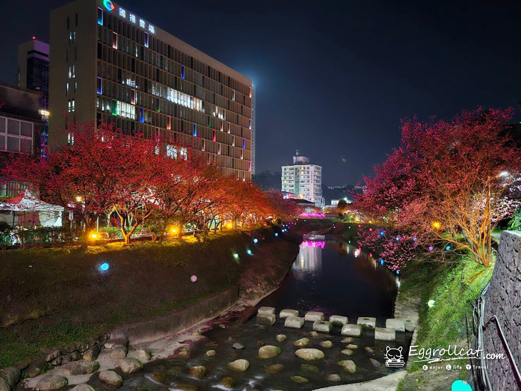 康誥坑溪櫻花大道 新北櫻花 汐止景點