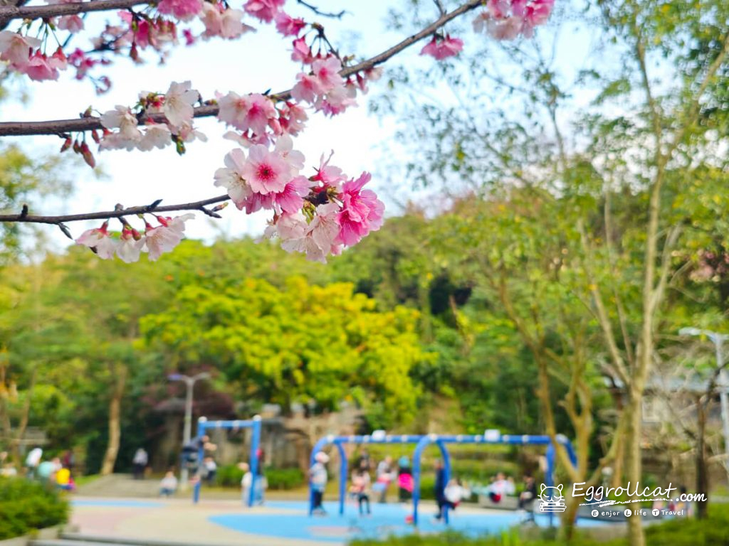 【台北信義】象山公園親子遊樂場|磨石子溜滑梯・101景觀・春季限定賞櫻 象山公園 象山櫻花 台北賞櫻 台北101觀景