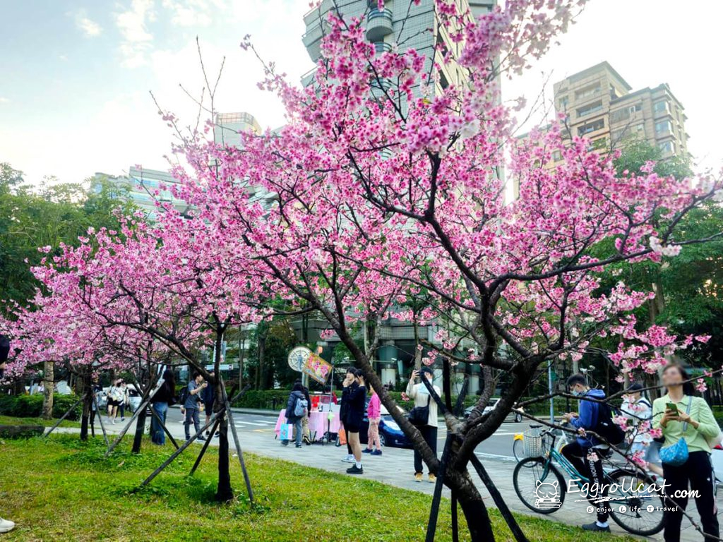 【台北信義】象山公園親子遊樂場|磨石子溜滑梯・101景觀・春季限定賞櫻 象山公園 象山櫻花 台北賞櫻 台北101觀景