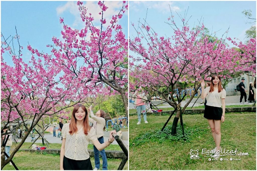 【台北信義】象山公園親子遊樂場|磨石子溜滑梯・101景觀・春季限定賞櫻 象山公園 象山櫻花 台北賞櫻 台北101觀景