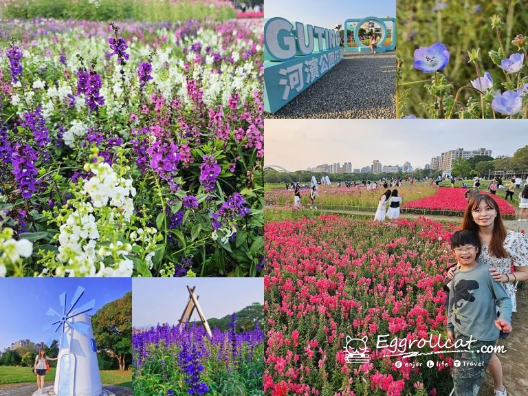 【台北賞花景點】古亭河濱公園花海|巨大相機+夢幻帳篷 春日最美打卡熱點 古亭河濱公園