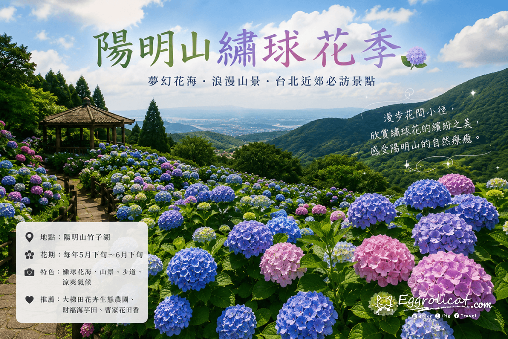 2026台北連假去哪玩|親子景點、賞花行程、展覽活動一次整理 陽明山繡球花季 陽明山竹子湖