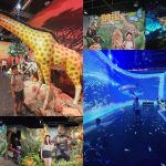 動物王國大探險展－比薩大學自然史博物館 國立臺灣科學教育館 士林科教館